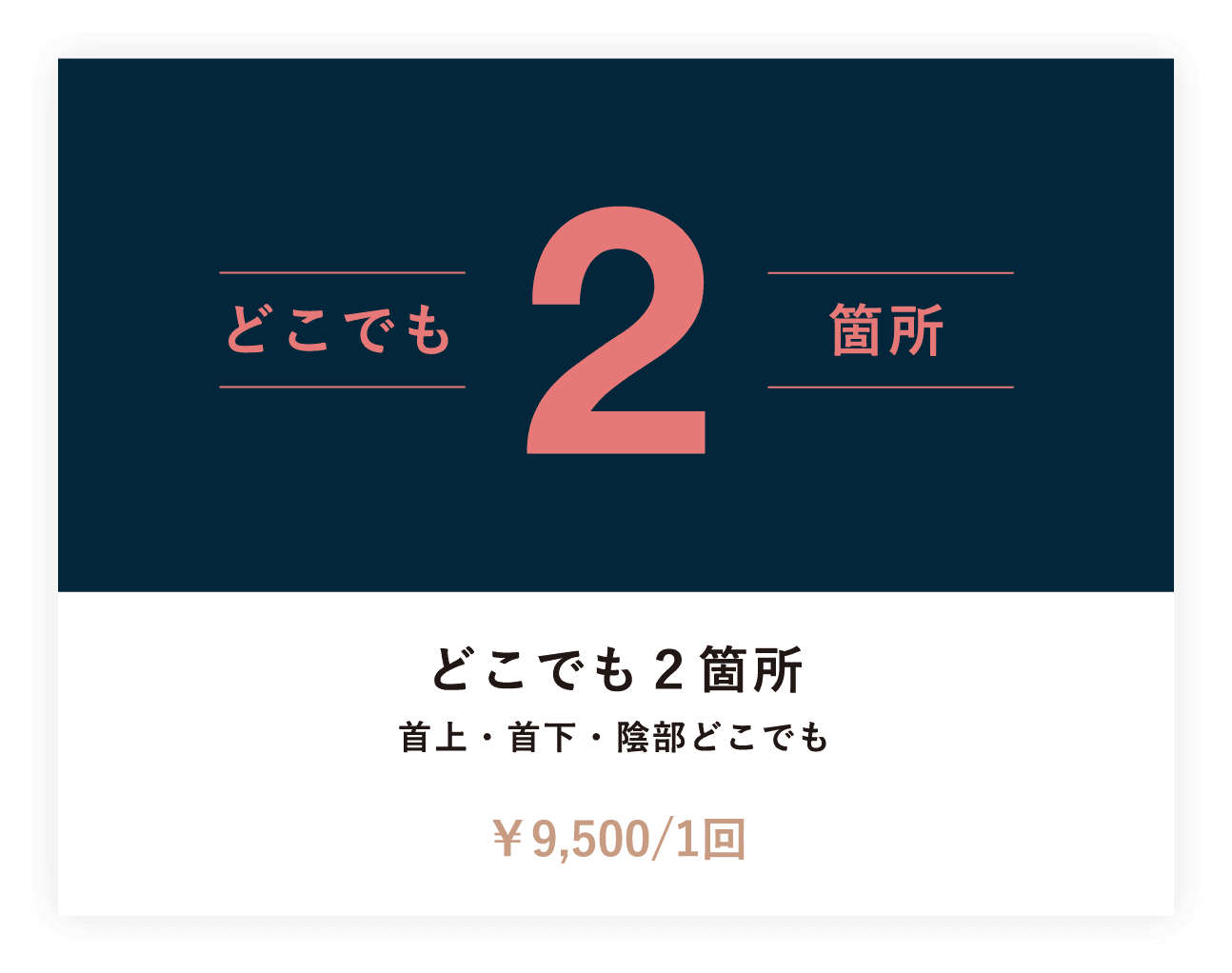 どこでも２箇所  首上・首下・陰部どこでも　¥15,000/1回