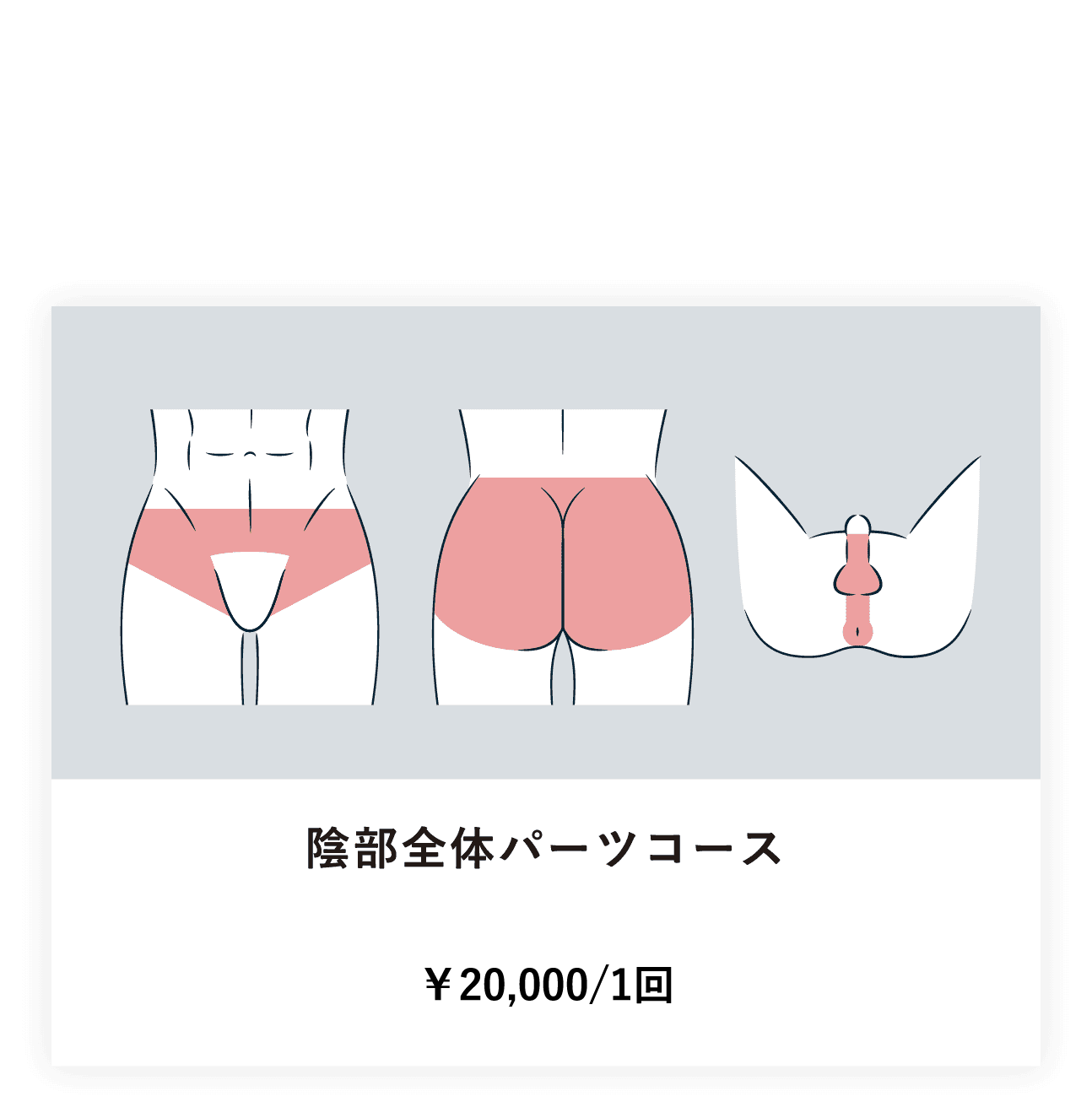 陰部全体パーツコース ¥306,000/10回　¥170,000/5回　¥40,800/1回